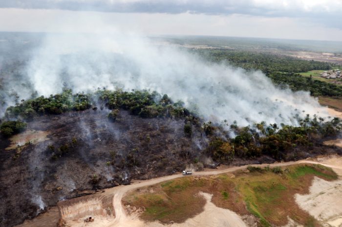 Preservação da Amazônia depende de modernização do combate às organizações criminosas, diz pesquisa