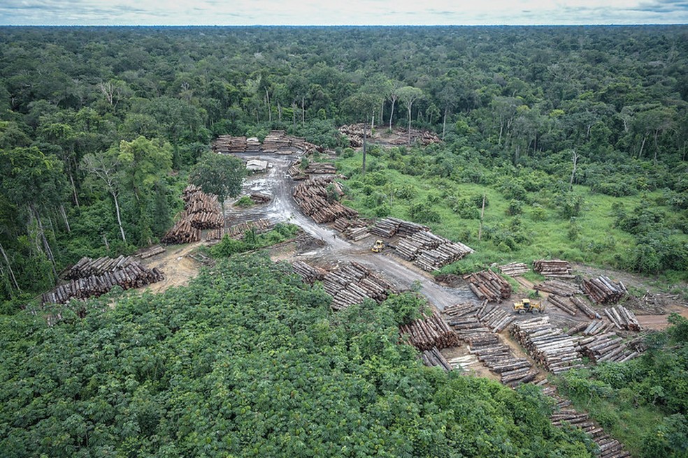 Em Roraima, interdição por tempo indeterminado garante proteção a Terra Indígena Pirititi