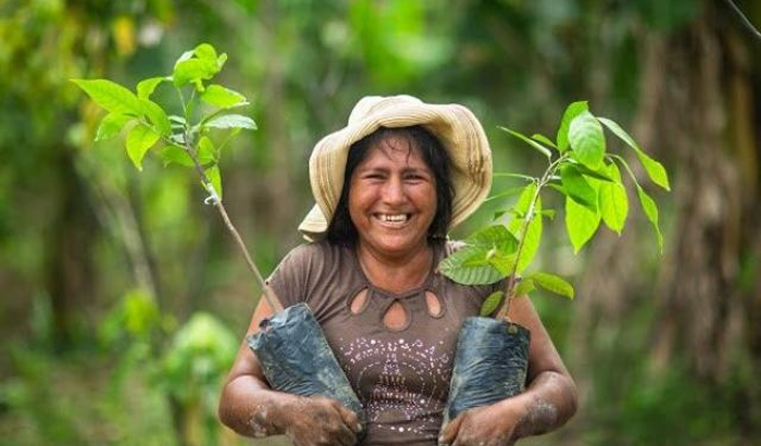 Women in the region make the forest a resource of resistance and existence. (Playback / One Tree Planted)