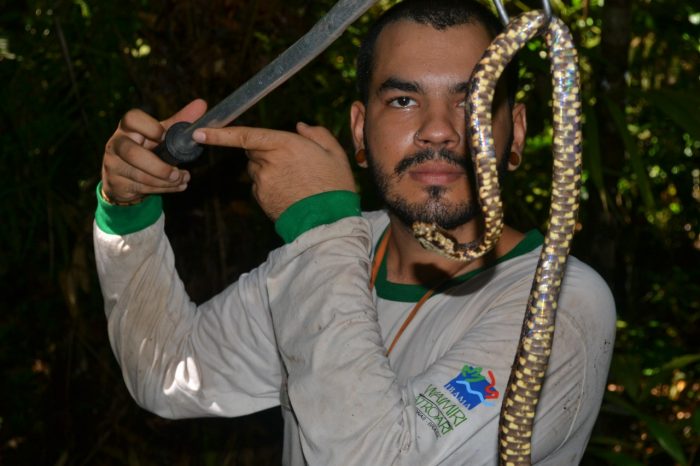 Com subida dos igarapés, pesquisador explica procedimentos corretos para resgate de animais silvestres