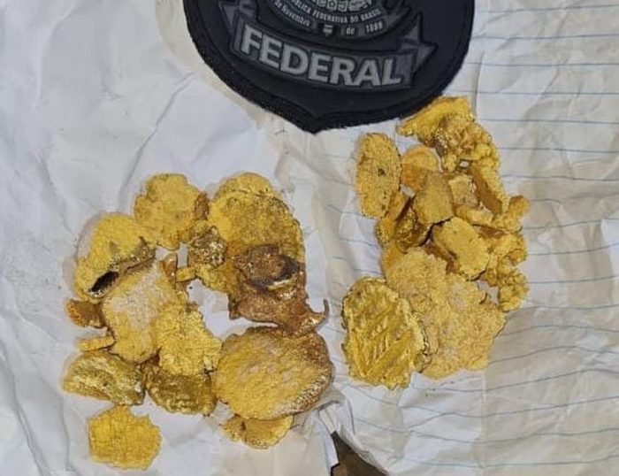 Polícia Federal faz operação contra crimes ambientais no interior do Amazonas