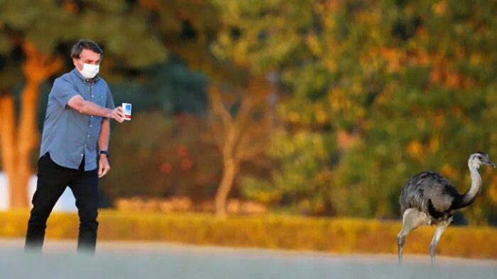 Saúde desviou 2 milhões de comprimidos de cloroquina para Covid, e programa de malária ficou sem estoque