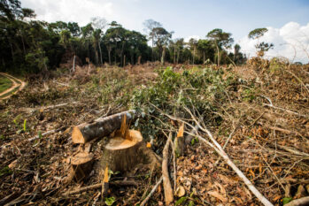 Amapá vem sofrendo com a alta na temperatura devido ao desmatamento e às mudanças climáticas sofridas na região amazônica. (Eduardo Anizelli/ Folhapress) 