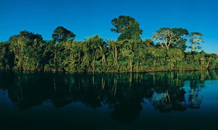 Trecho da Floresta Amazônica no estado de Tocantins (Reprodução/Época)