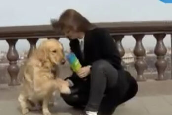 O ataque do cachorro ocorreu enquanto Nadezhda Serezhkina fazia uma matéria sobre uma queda brusca das temperaturas em Moscou com a chegada da primavera na Rússia (Reprodução/Internet)