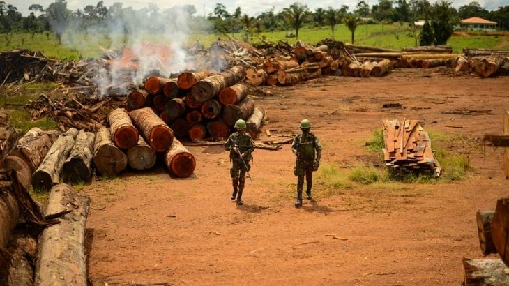Falta de dados oficiais trava fiscalização de madeira ilegal no Brasil
