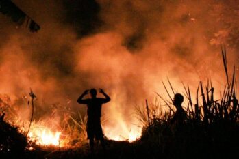 Em média, 150,9 mil km² foram tragados anualmente pelo fogo em todo o território nacional em 36 anos; uma Inglaterra a cada 365 dias. (© Revista Cenarium/Ricardo Oliveira)