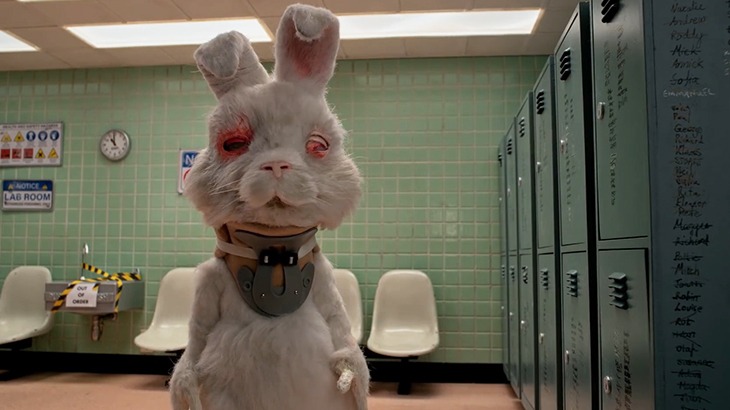 Vídeo: campanha global ‘Salve o Ralph’ pede fim da testagem de cosméticos em animais