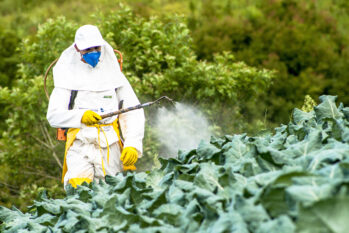 Governos de países da América Latina são coniventes com a expansão do uso de agrotóxicos (Reprodução/Stock/Getty Images)