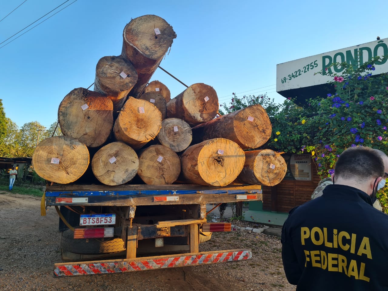 PF desarticula organização criminosa que explorava madeira de Terras Indígenas em Rondônia e Mato Grosso