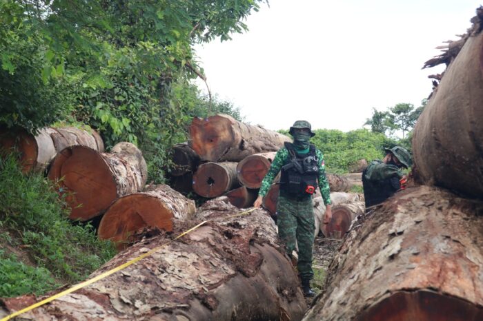 Operação ‘Tamoiotatá’ embarga mais de dois mil hectares em propriedades com desmatamento ilegal