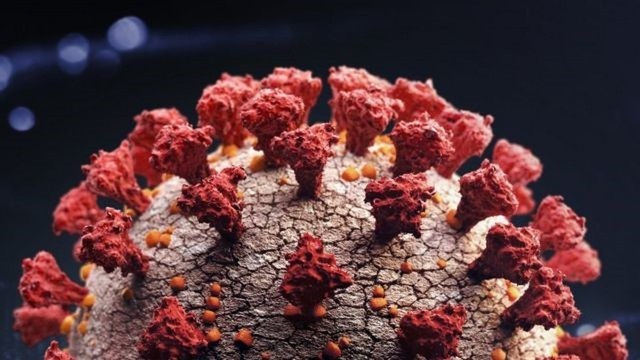 ‘Cuidados devem ser mantidos’, diz infectologista sobre variante menos infectante e agressiva detectada no AM