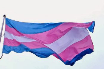 O Brasil teve 175 assassinatos de pessoas trans em 2020, de acordo com o relatório anual da Antra, o equivalente a uma morte a cada dois dias
(Reprodução/ ANTRA)