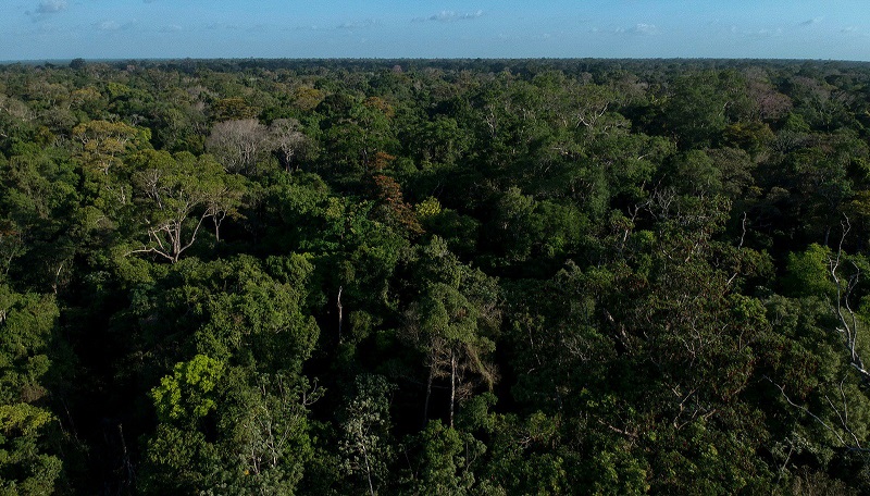 A Resex fica com área restante de 22 mil hectares de matas ciliares (Reprodução/Pacto das Águas)