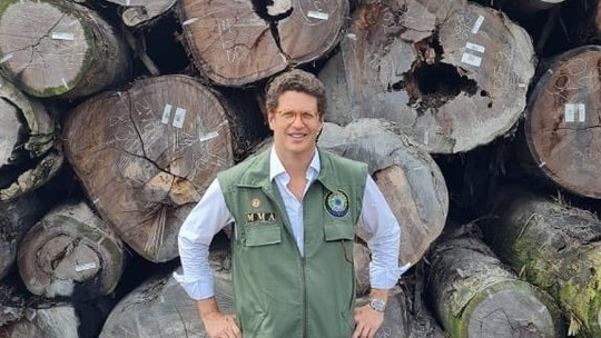 STF determina suspensão de processos relacionados à maior apreensão de madeira no País