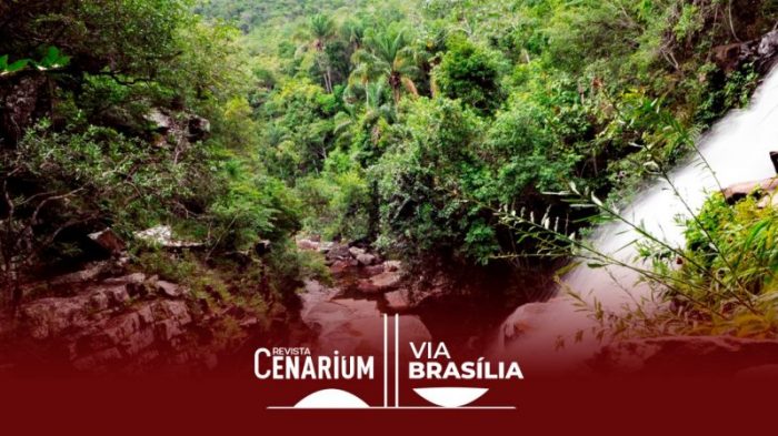 Comissão de Meio Ambiente da Câmara pode votar PL que ameaça áreas protegidas