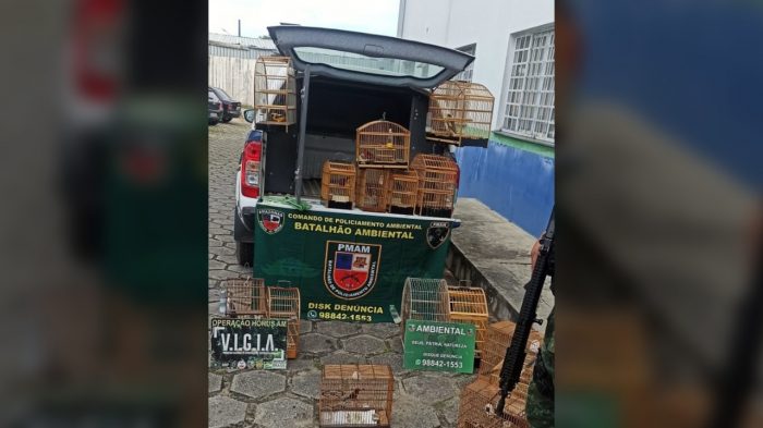 Em operação, polícia ambiental realiza resgate de 15 pássaros silvestres em Manaus