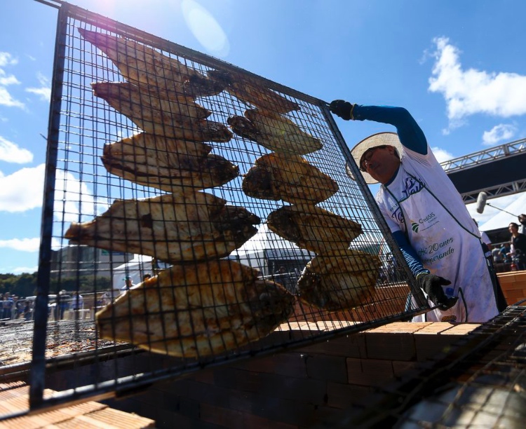 Tambaqui de Rondônia vai abastecer maior festival de peixe do País