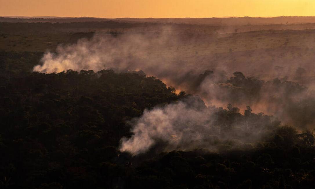 Estados da Amazônia Legal concentram quase dois mil focos de calor apenas na primeira quinzena de julho