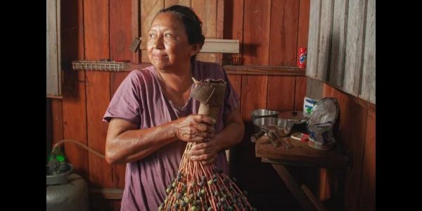 História de ocupação da Amazônia mostra que humanos e floresta podem conviver