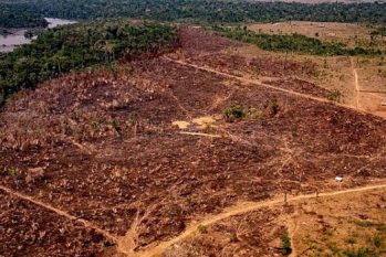O fogo das queimadas causa um prejuízo de mais de US$ 107 milhões por ano ao Brasil (Mayke Toscano/AFP)