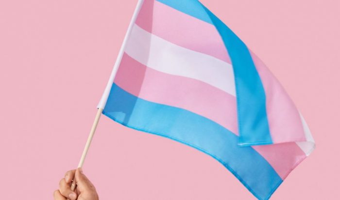 Semelhante a Argentina, Brasil pode ter cota para trans e travestis nas empresas