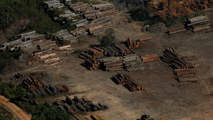 Desmatamento na Amazônia (Bruno Kelly)