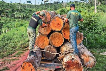Fiscais do Ibama apreendem madeira ilegal na Amazônia (Divulgação)