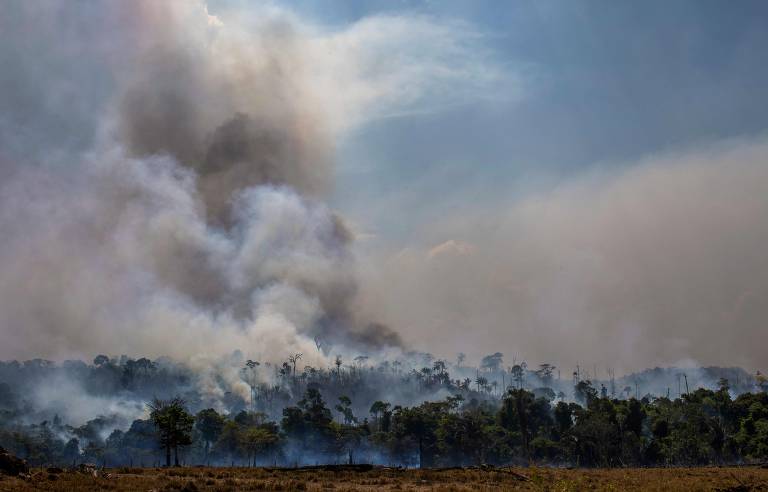 Harvard indica que desmatamento pode aumentar chance de novas pandemias