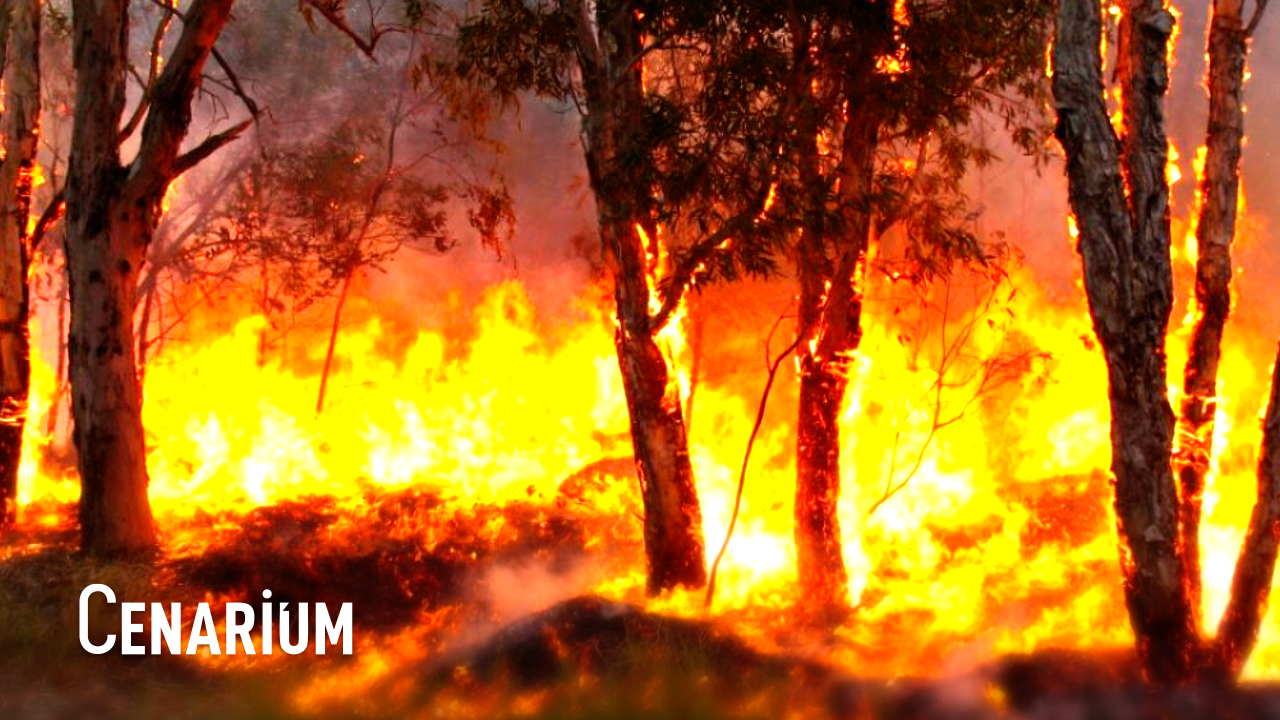 Amazônia registra 4.977 focos de queimadas em julho, diz INPE