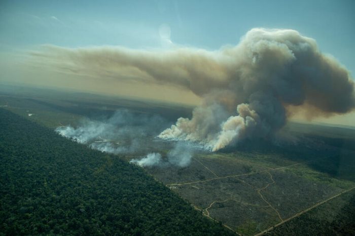 Greenpeace sobrevoa a Amazônia e flagra o avanço do fogo sobre a floresta
