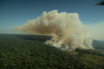 Desmatamento e queimadas ilegais são principais influências para as mudanças climáticas (Christian Braga/Greenpeace)
