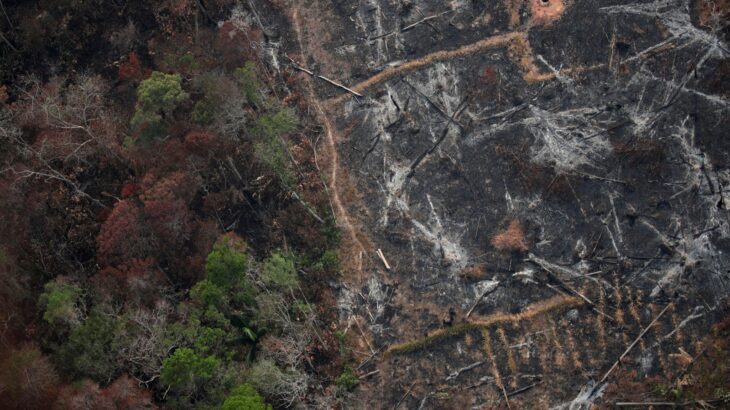 The group was threatening residents of a branch already inside Amazon territory (Reproduction/ Internet) 