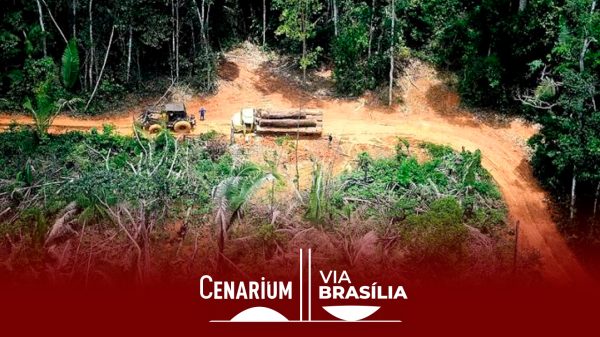 Vice de Bolsonaro, admite não cumprir meta de redução do desmatamento na Amazônia