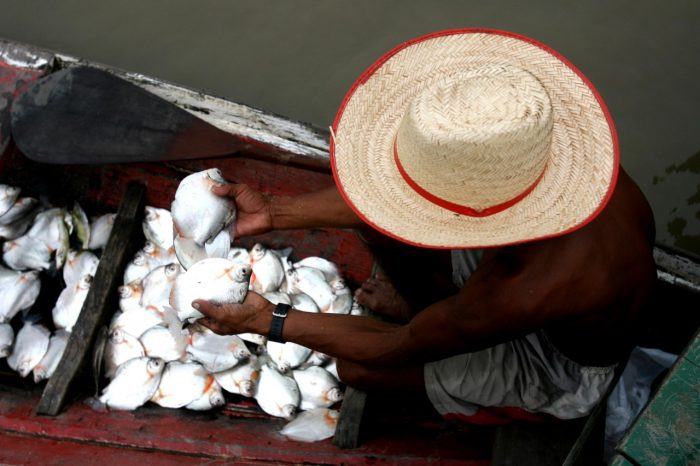 Projeto acadêmico vai premiar registros fotográficos sobre Amazônia