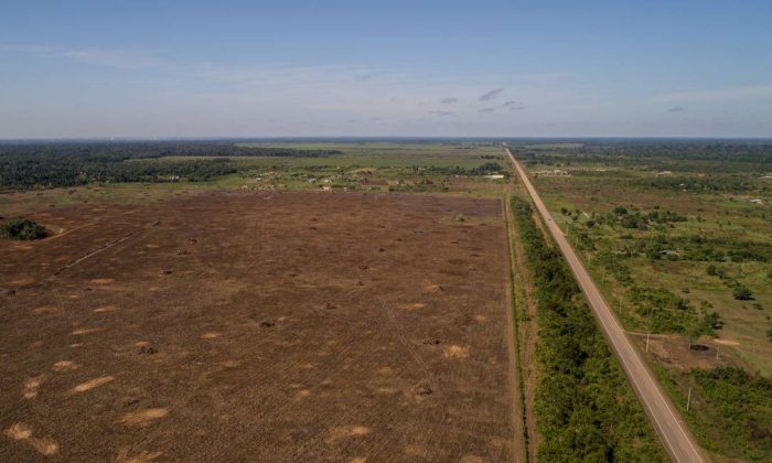 Desmatamento na Amazônia em julho caiu mais nas cidades em que as Forças Armadas não atuam, segundo Inpe