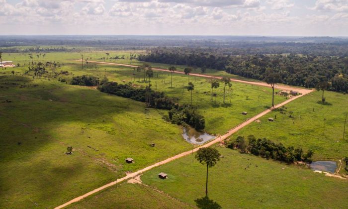 Promessa de Bolsonaro: área na Amazônia cortada por BR-319 já sofre com desmatamento