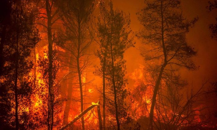Relatório sobre mudanças climáticas coincide com incêndios florestais catastróficos