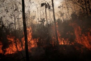 O levantamento foi feito nesta segunda-feira, 20, e mostra o avanço do fogo na Amazônia, que tem batido recorde (Reprodução/ BBC)