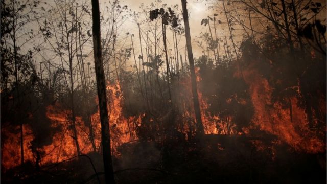 O levantamento foi feito nesta segunda-feira, 20, e mostra o avanço do fogo na Amazônia, que tem batido recorde (Reprodução/ BBC)