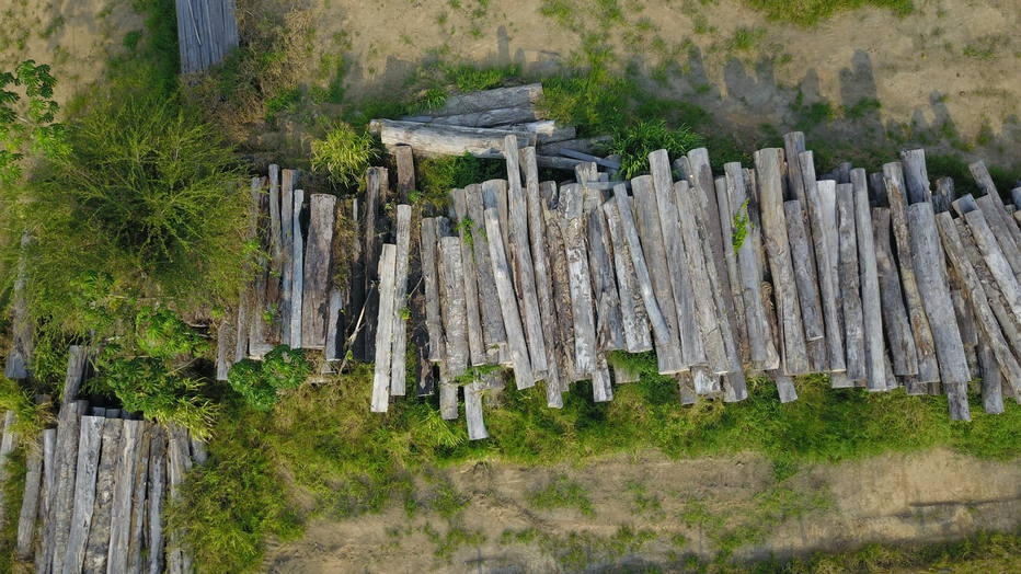 Governo do Pará quer destinação social para madeira apreendida de Belo Monte