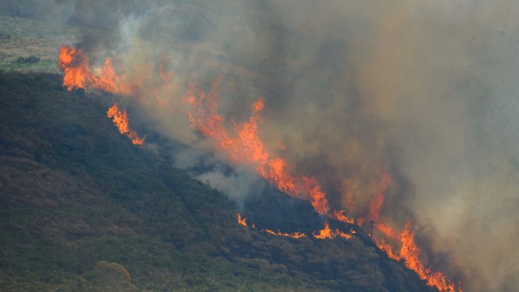 Mata em chamas na Região Serrana, em Itaipava (Fernando Frazão/Agência Brasil)