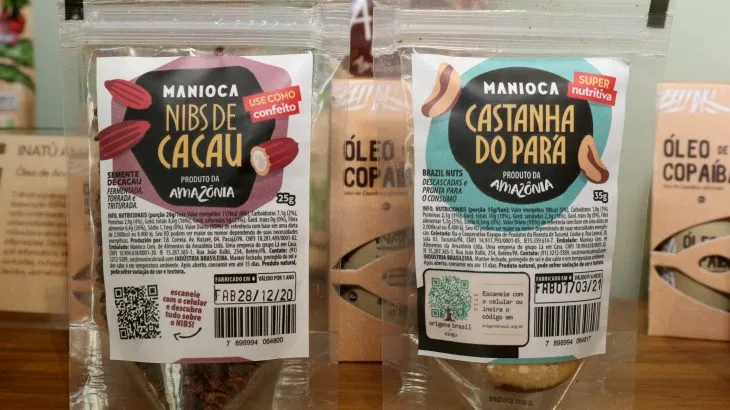 SPECIAL | An Economy for Tomorrow – Strength that comes from the forest