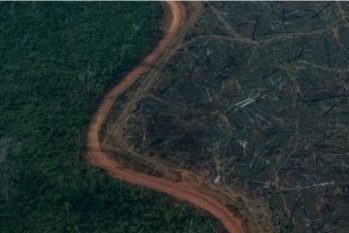 Vista aérea de desmatamento na Amazônia para expansão da pecuária, em Lábrea (AM) (Victor Moriyama/Amazônia em Chamas)