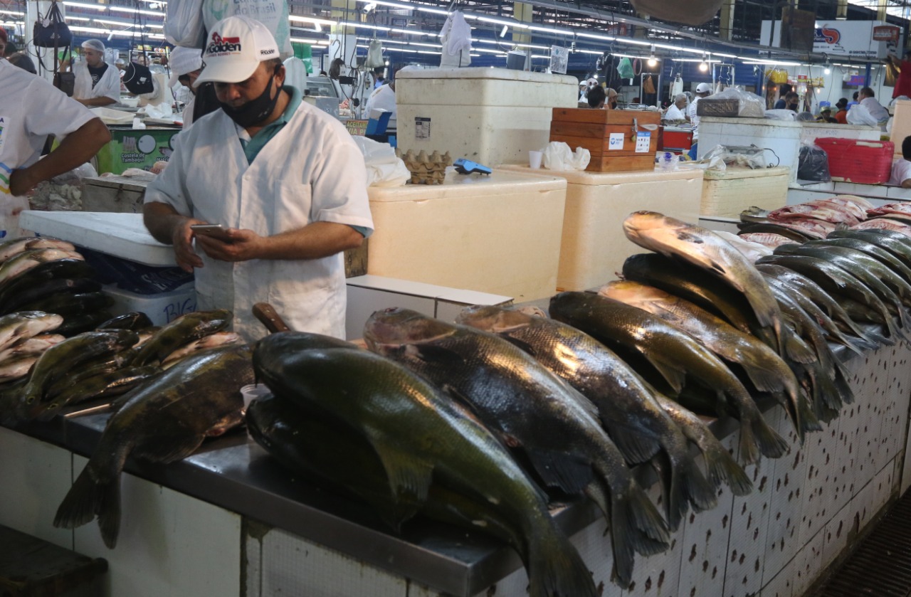 Tradicional ‘Festival Tambaqui’ vai acontecer simultaneamente no Brasil