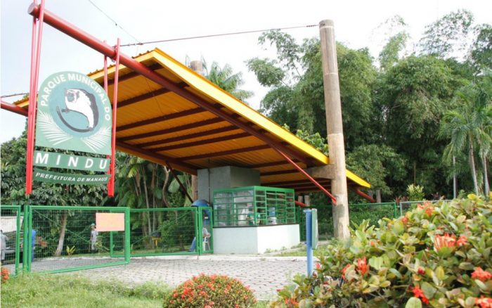 Editora realiza ‘Manhã Cultural’ com venda de livros pela metade do preço em Manaus