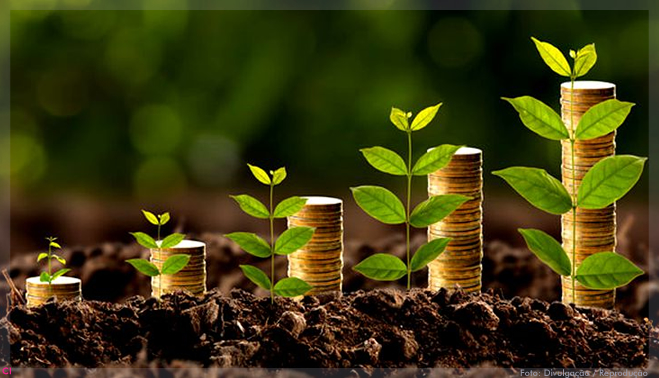 EDITORIAL – A Bioeconomia e o exílio científico