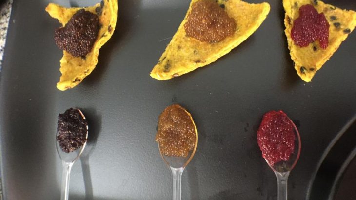 O caviar amazônico
é feito de ovas das mais diversas espécies de peixes, das mais variadas
cores (Acervo Pessoal)