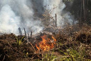 Floresta Nacional de Jacundá em Rondônia, próximo a Porto Velho, tem um assentamento em crescimento. Eles colocam fogo para abrir espaço para as casas e local para agricultura (Brenno Carvalho/Agência O Globo)