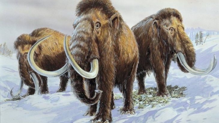 Ilustração reproduz mamutes, extintos há milhares de anos (Divulgação/Museu da História Natural de Londres)